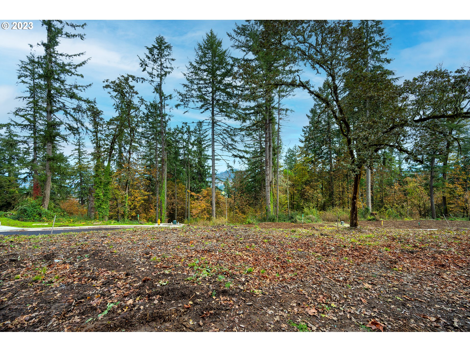 2620 Cupola Dr 27 Property Photo 9