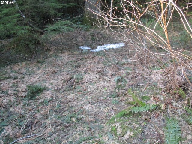 0 Se Harvey Rd Property Photo 3