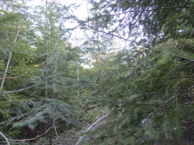 0 Se Harvey Rd Property Photo 9
