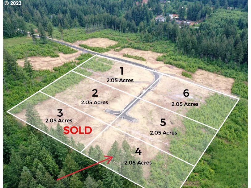 Ne 43rd Cir Lot 4 Property Photo 1