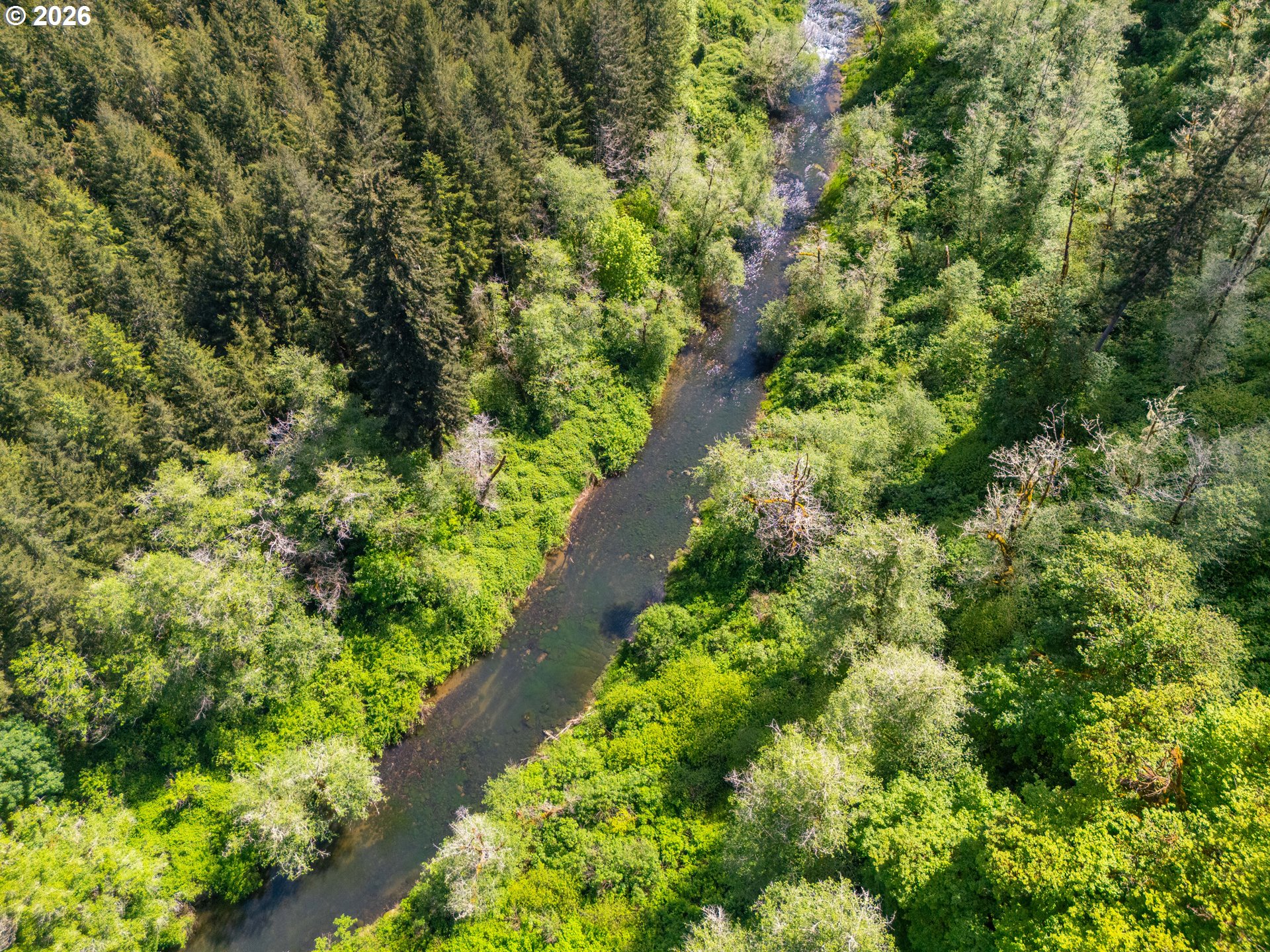 Trapp Creek Rd Property Photo 4