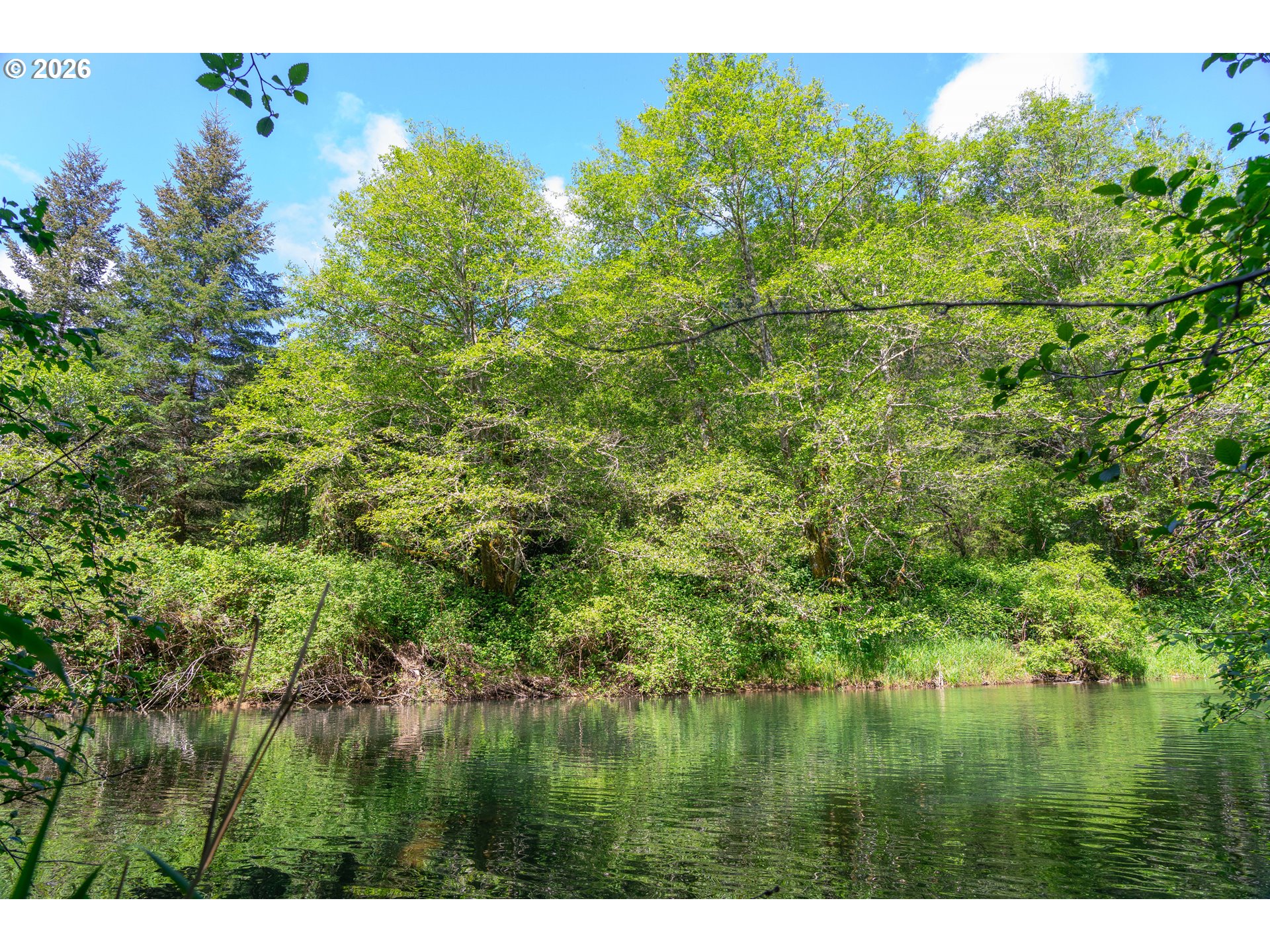 Trapp Creek Rd Property Photo 5