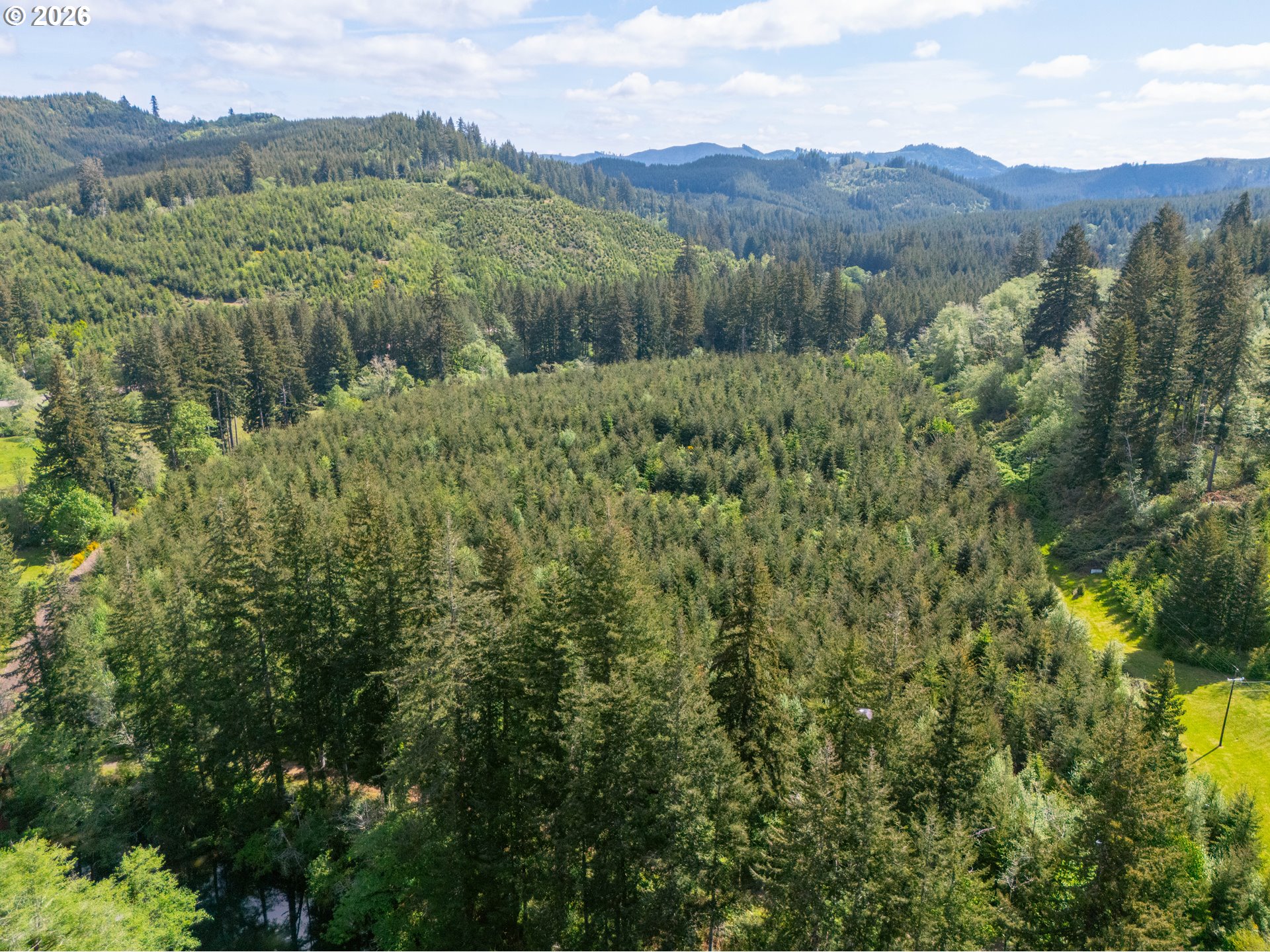 Trapp Creek Rd Property Photo 6
