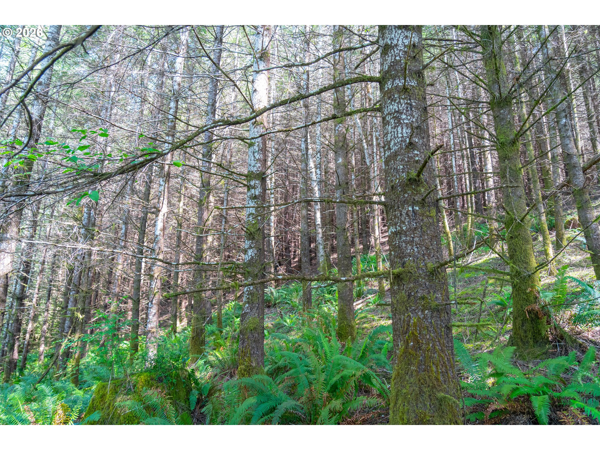 Trapp Creek Rd Property Photo 10