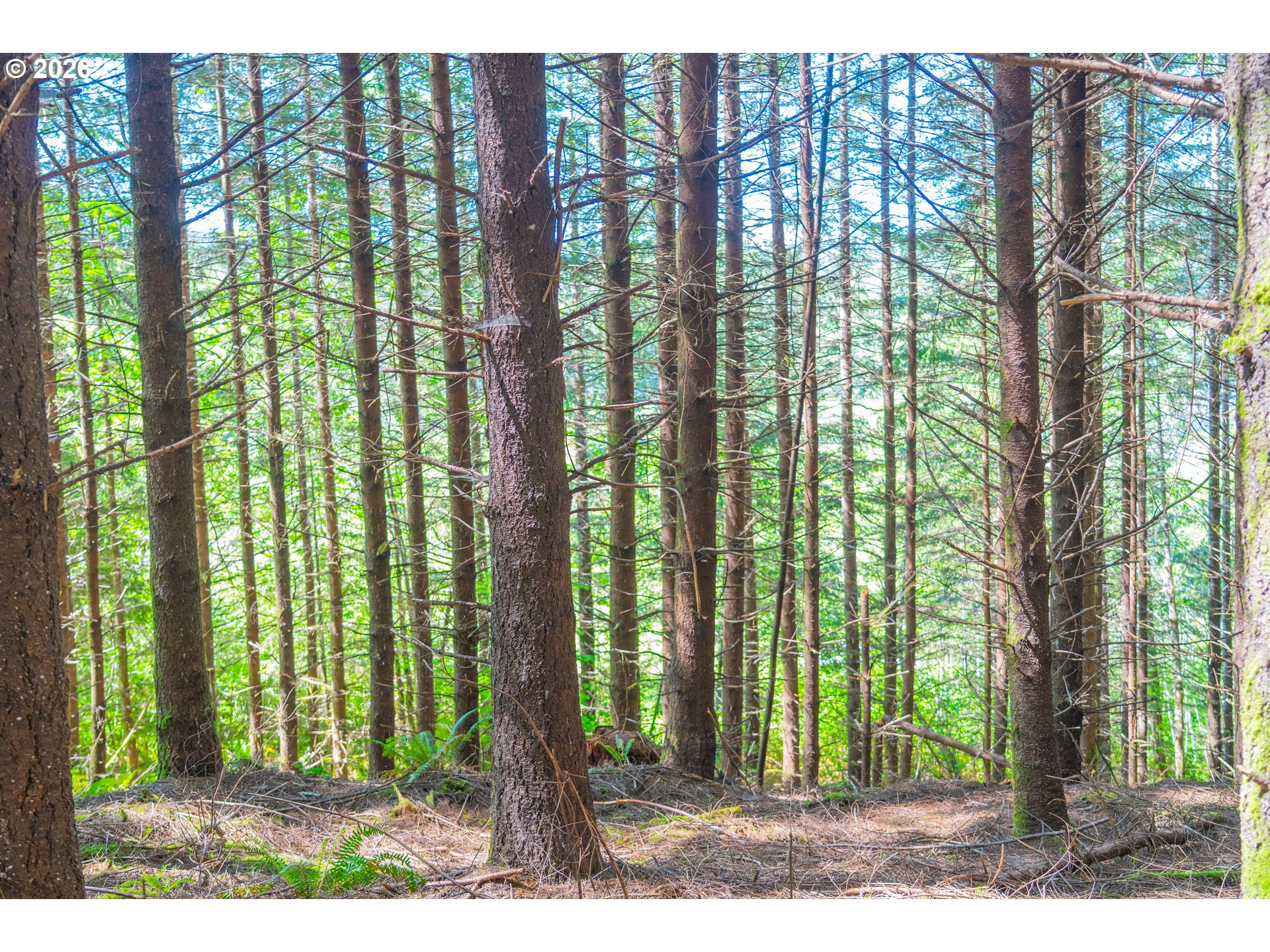 Trapp Creek Rd Property Photo 11