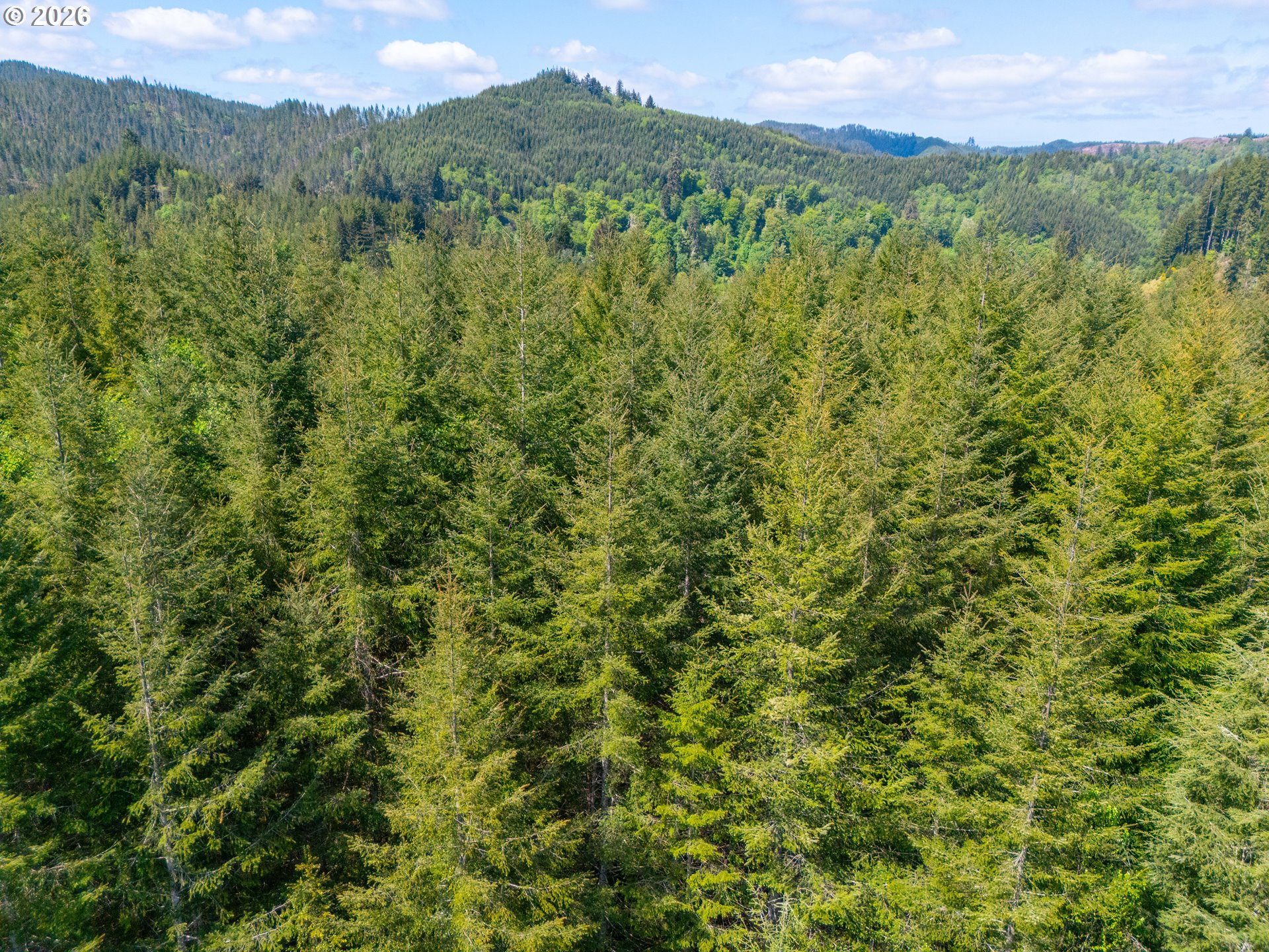 Trapp Creek Rd Property Photo 12