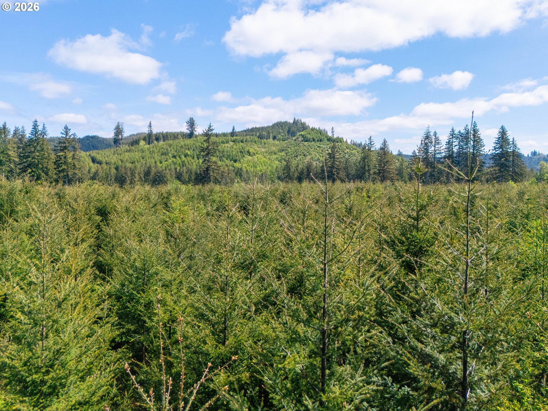 Trapp Creek Rd Property Photo 13