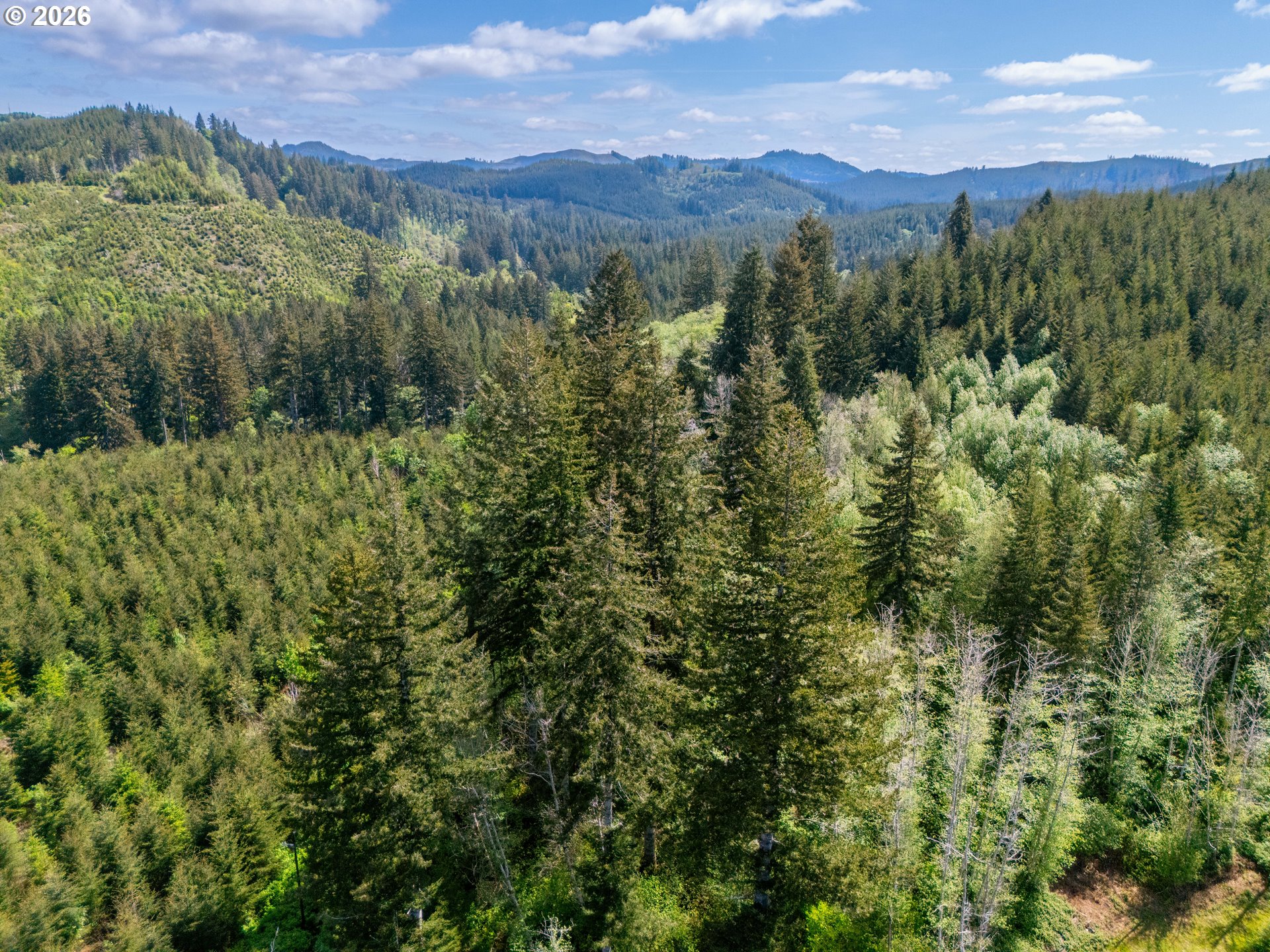 Trapp Creek Rd Property Photo 14
