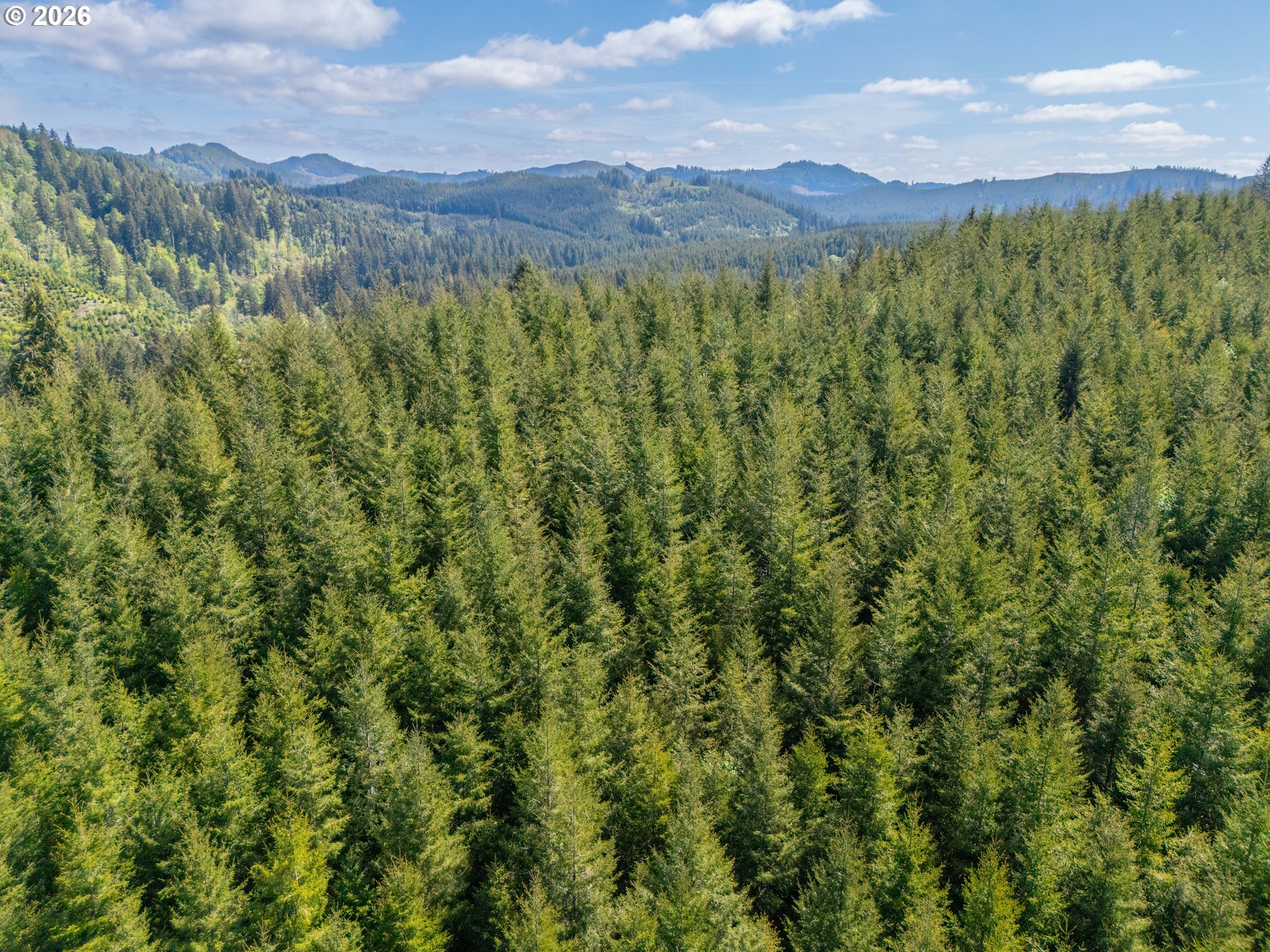 Trapp Creek Rd Property Photo 15
