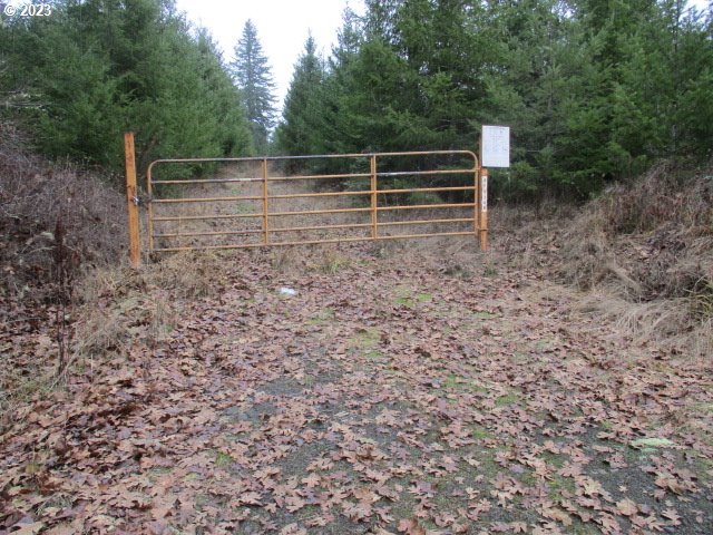 00 Buck Hollow Rd Property Photo 3