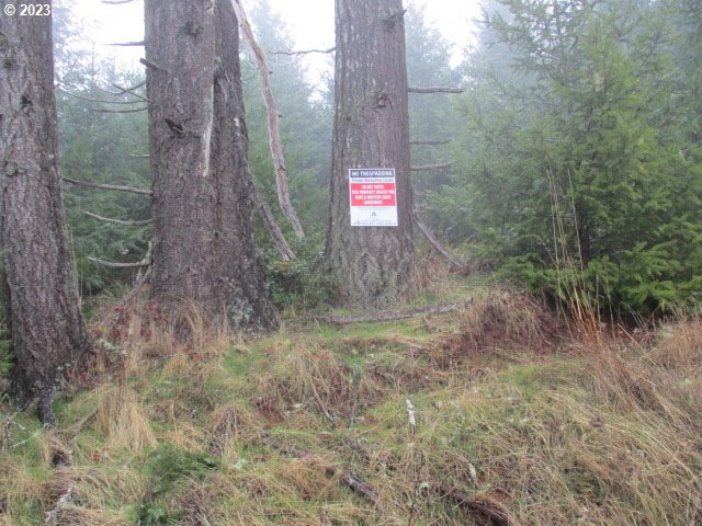 00 Buck Hollow Rd Property Photo 6