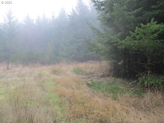 00 Buck Hollow Rd Property Photo 9