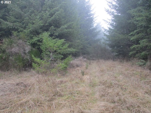 00 Buck Hollow Rd Property Photo 10