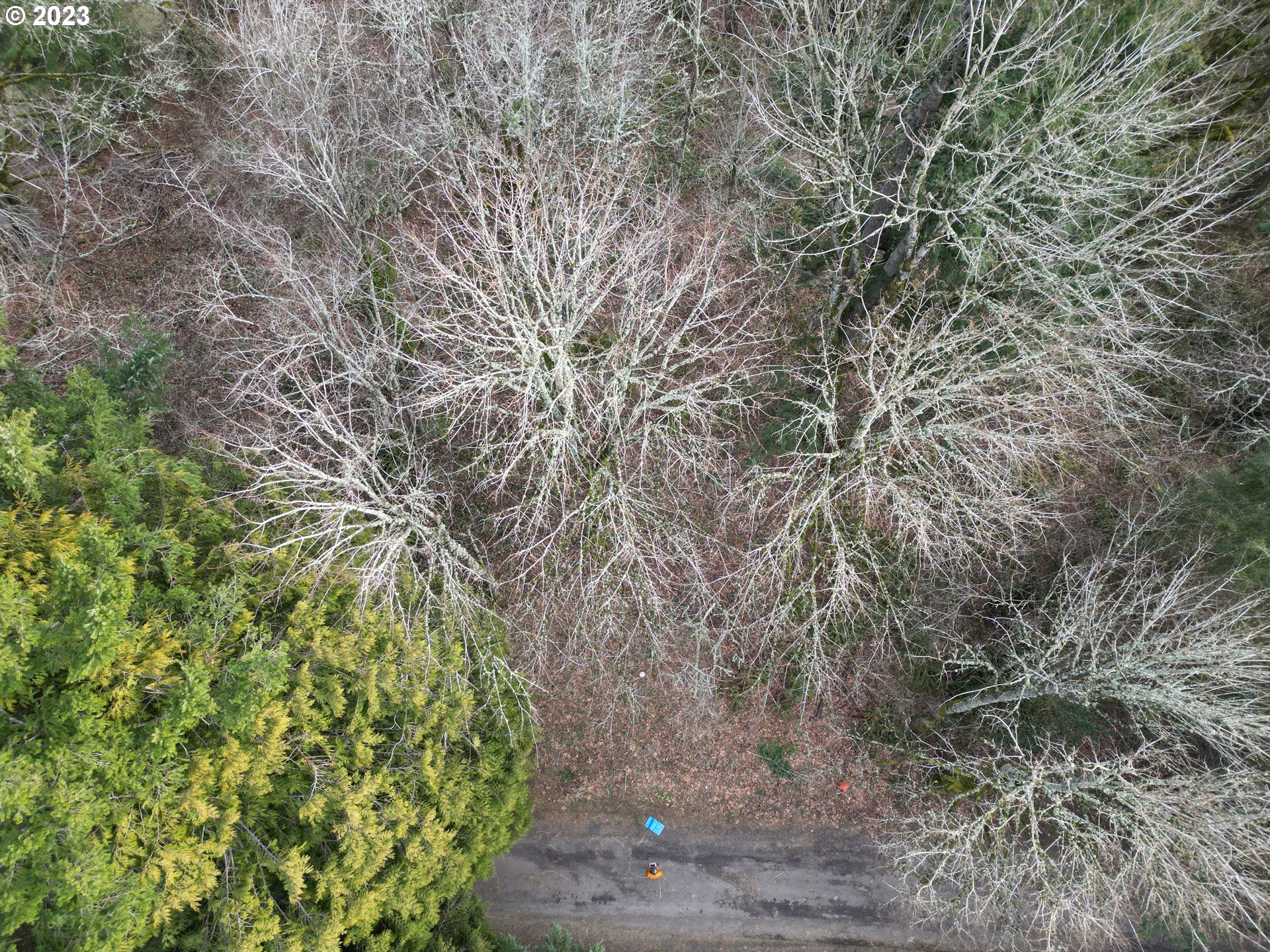 11902 Nw Tualatin Ave Property Photo 8