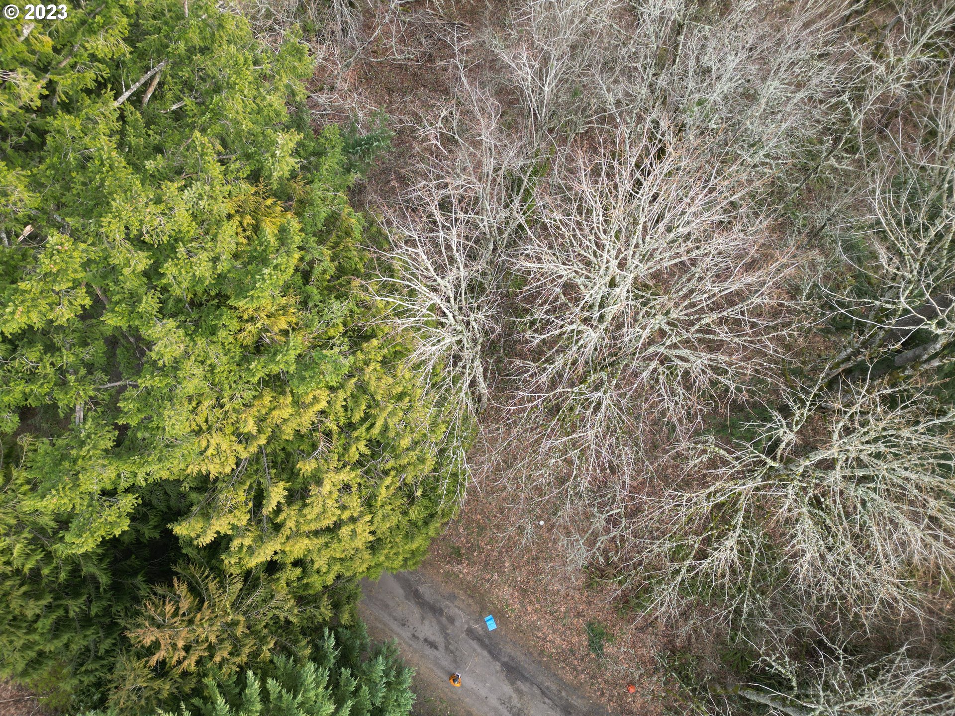 11902 Nw Tualatin Ave Property Photo 9