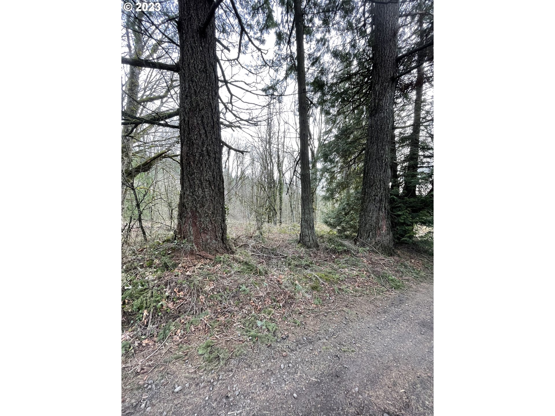 11902 Nw Tualatin Ave Property Photo 13
