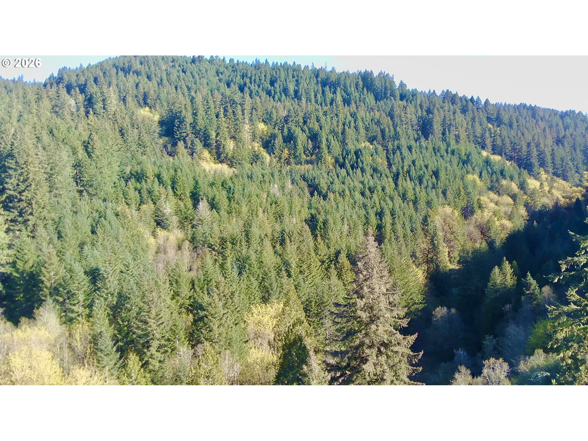 S. Fork Rd