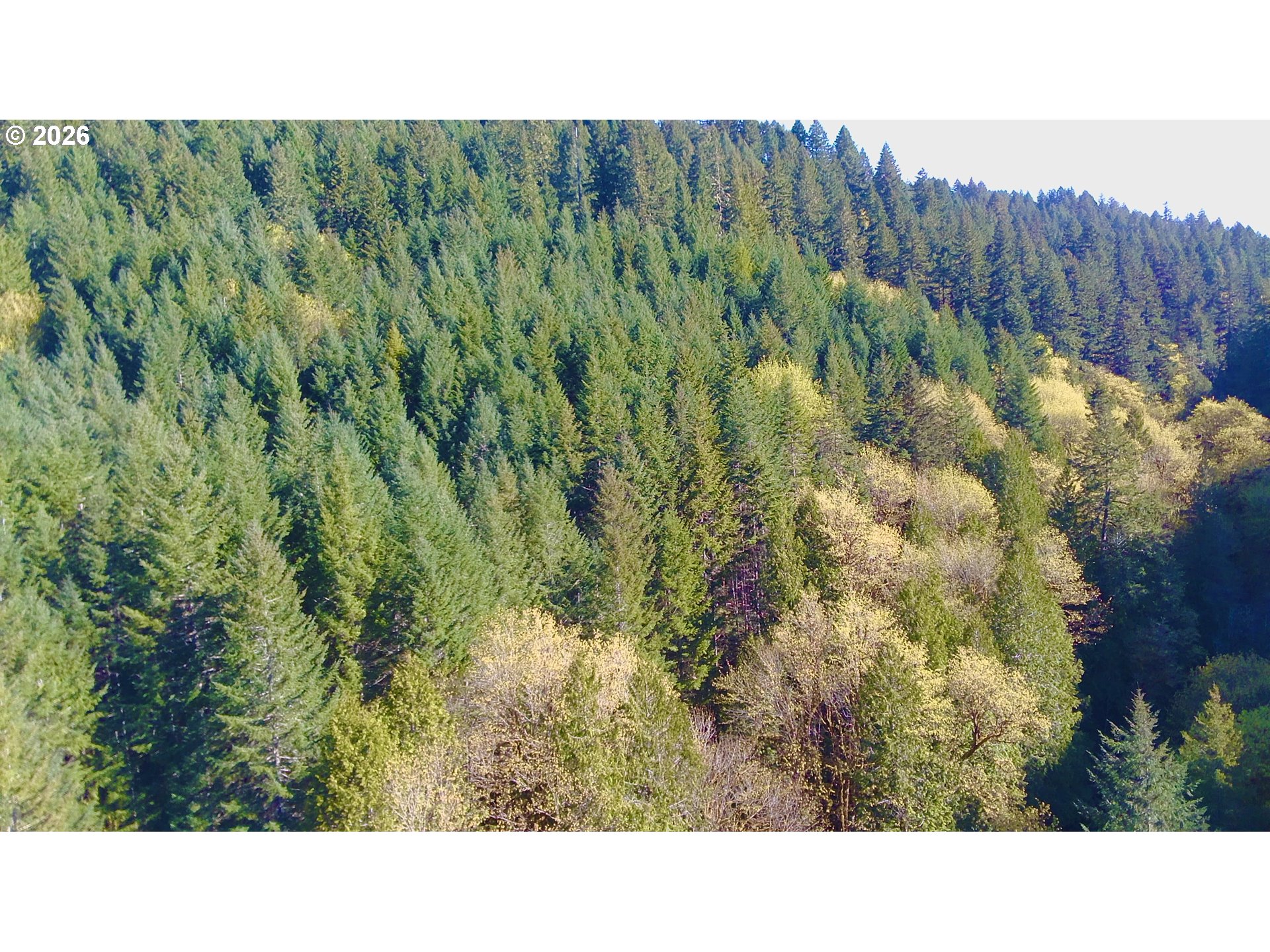 S. Fork Rd Property Photo 3