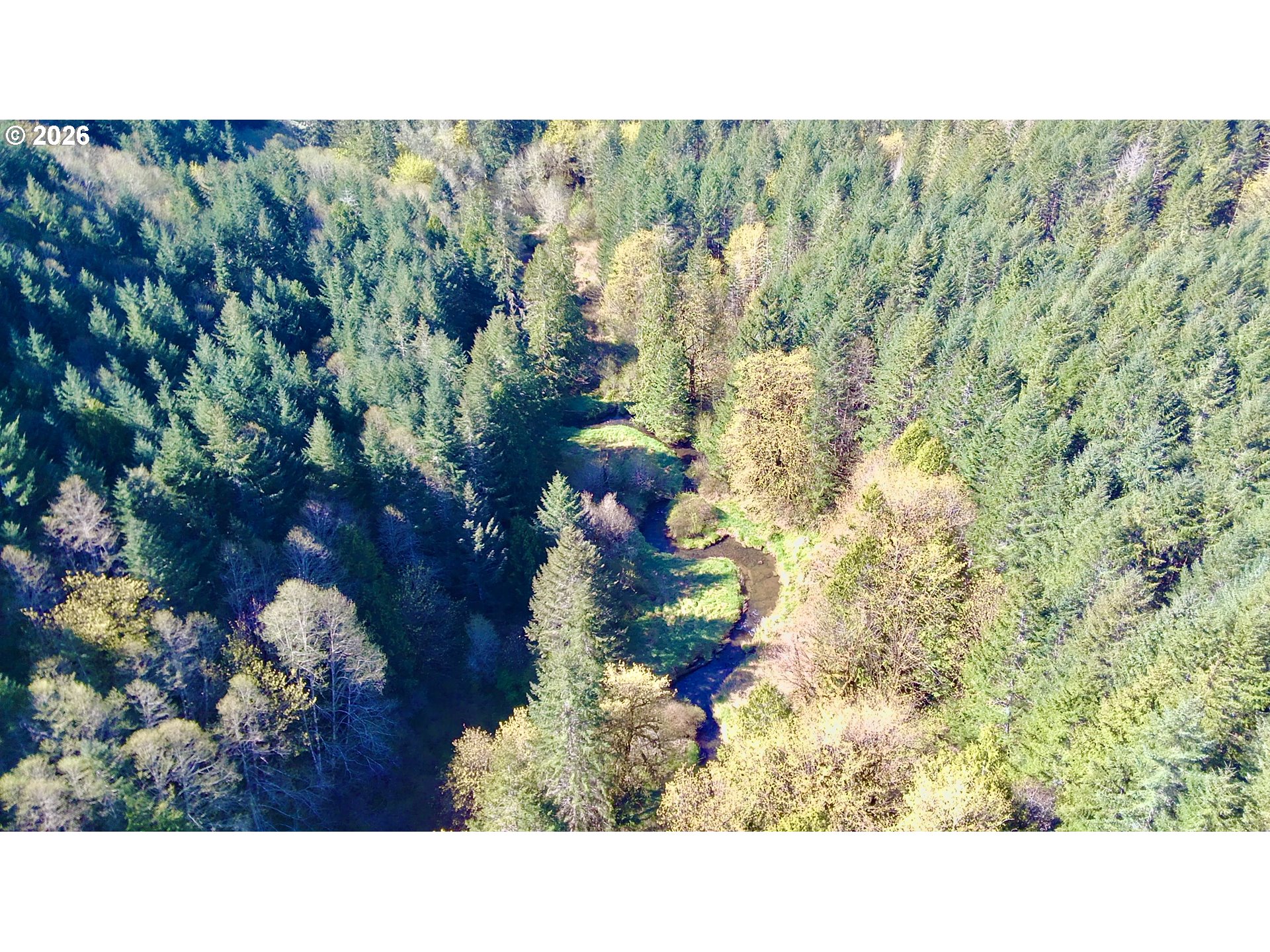 S. Fork Rd Property Photo 4