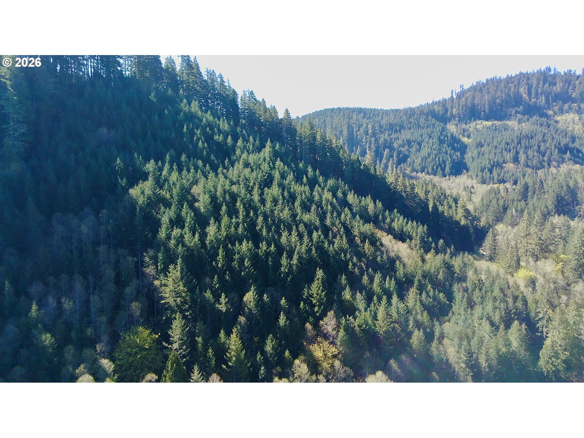 S. Fork Rd Property Photo 5