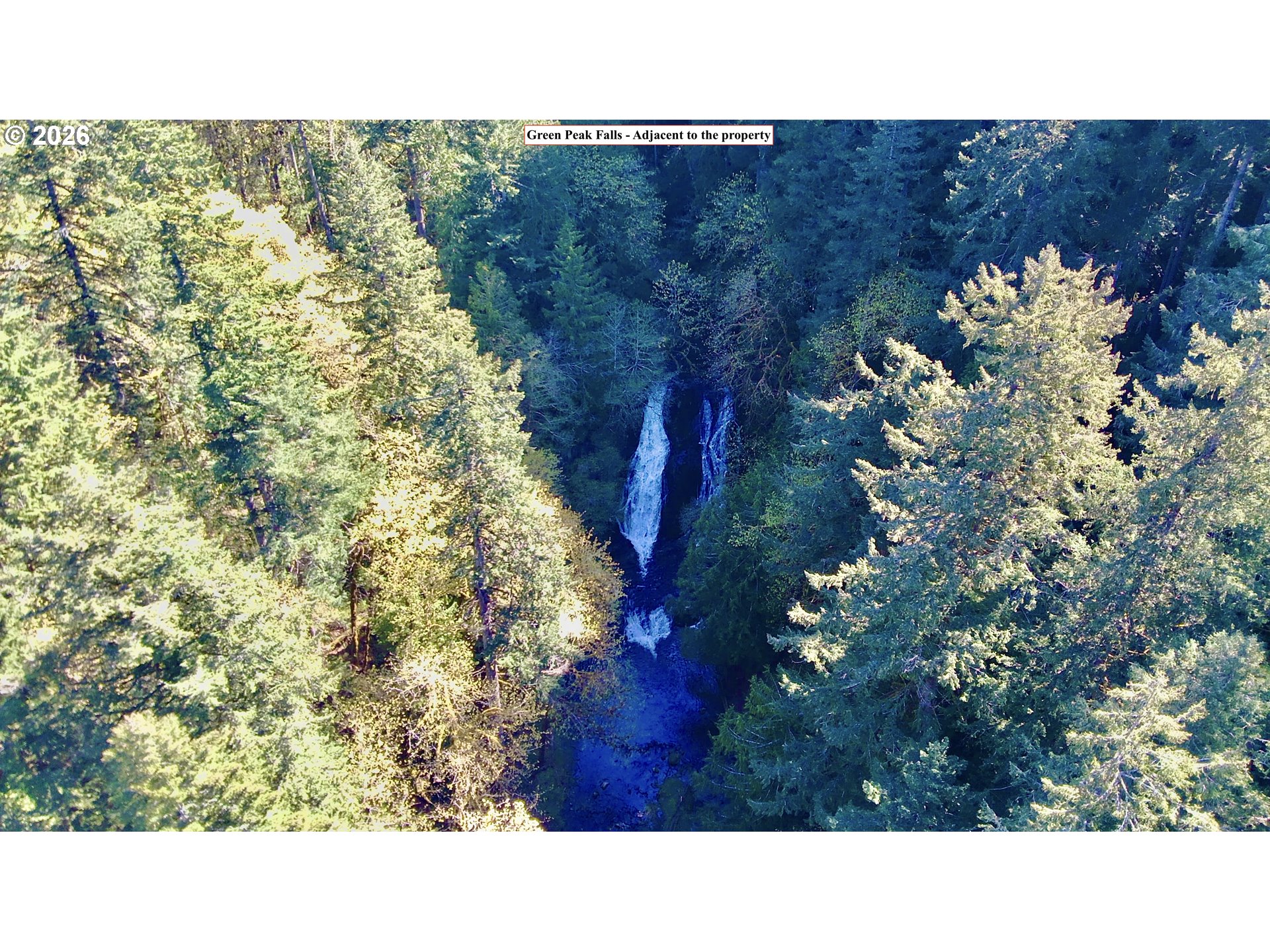 S. Fork Rd Property Photo 19