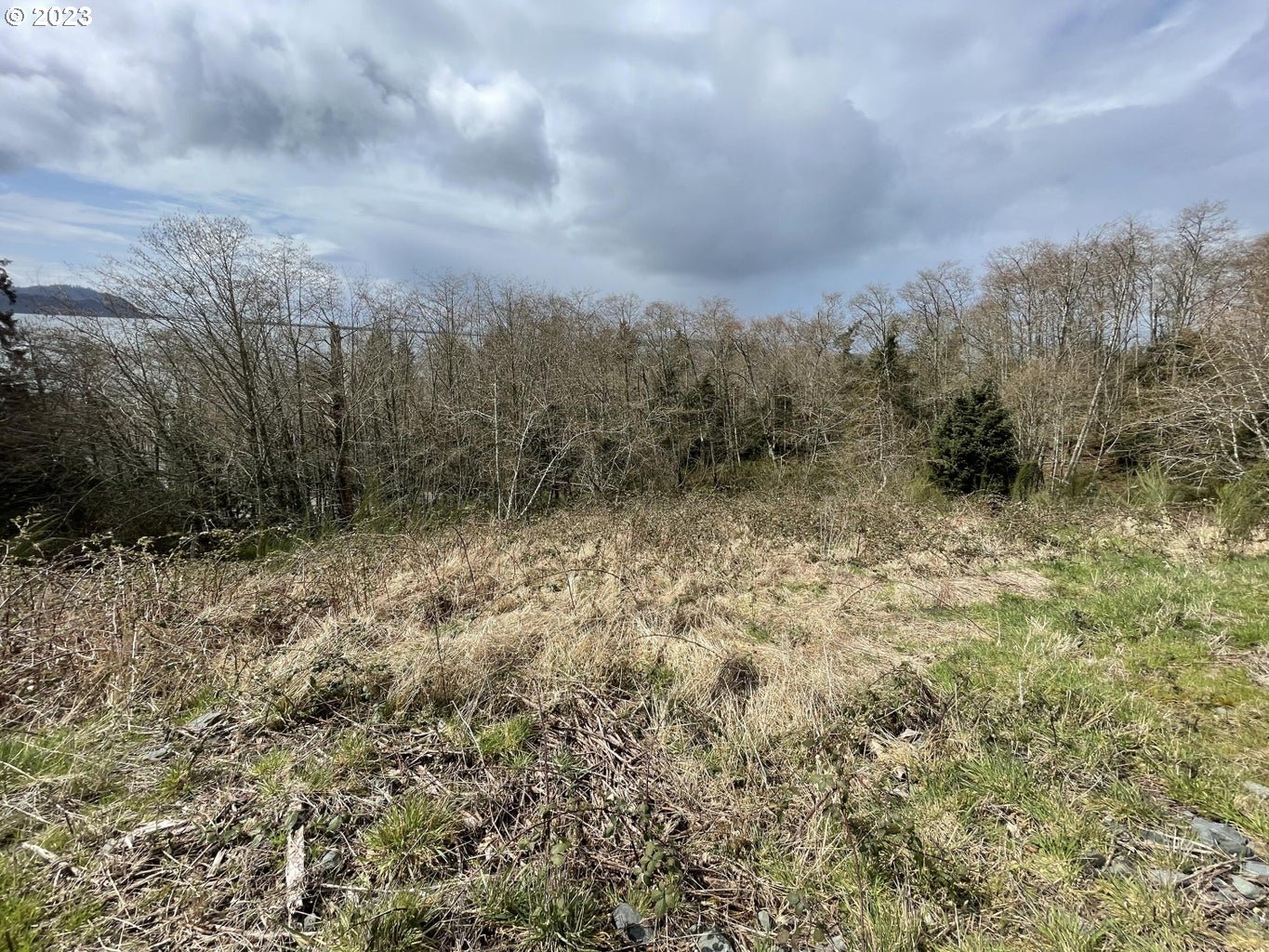 Lot 20 North Ridge Dr Property Photo 1