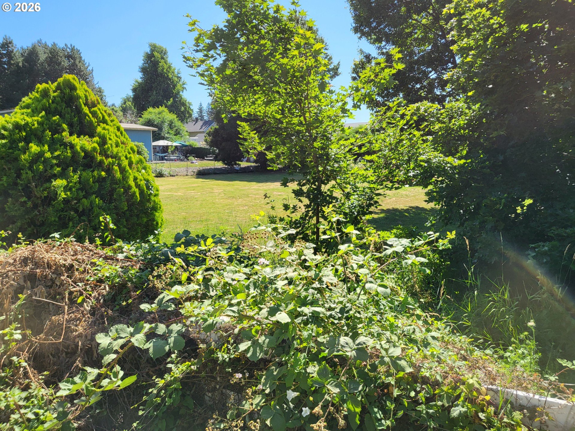 7137 Se 322nd Ave Property Photo 5