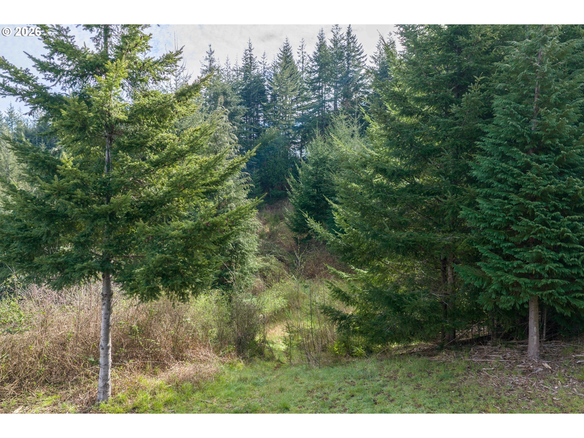 93549 Patterson Ln Property Photo 3