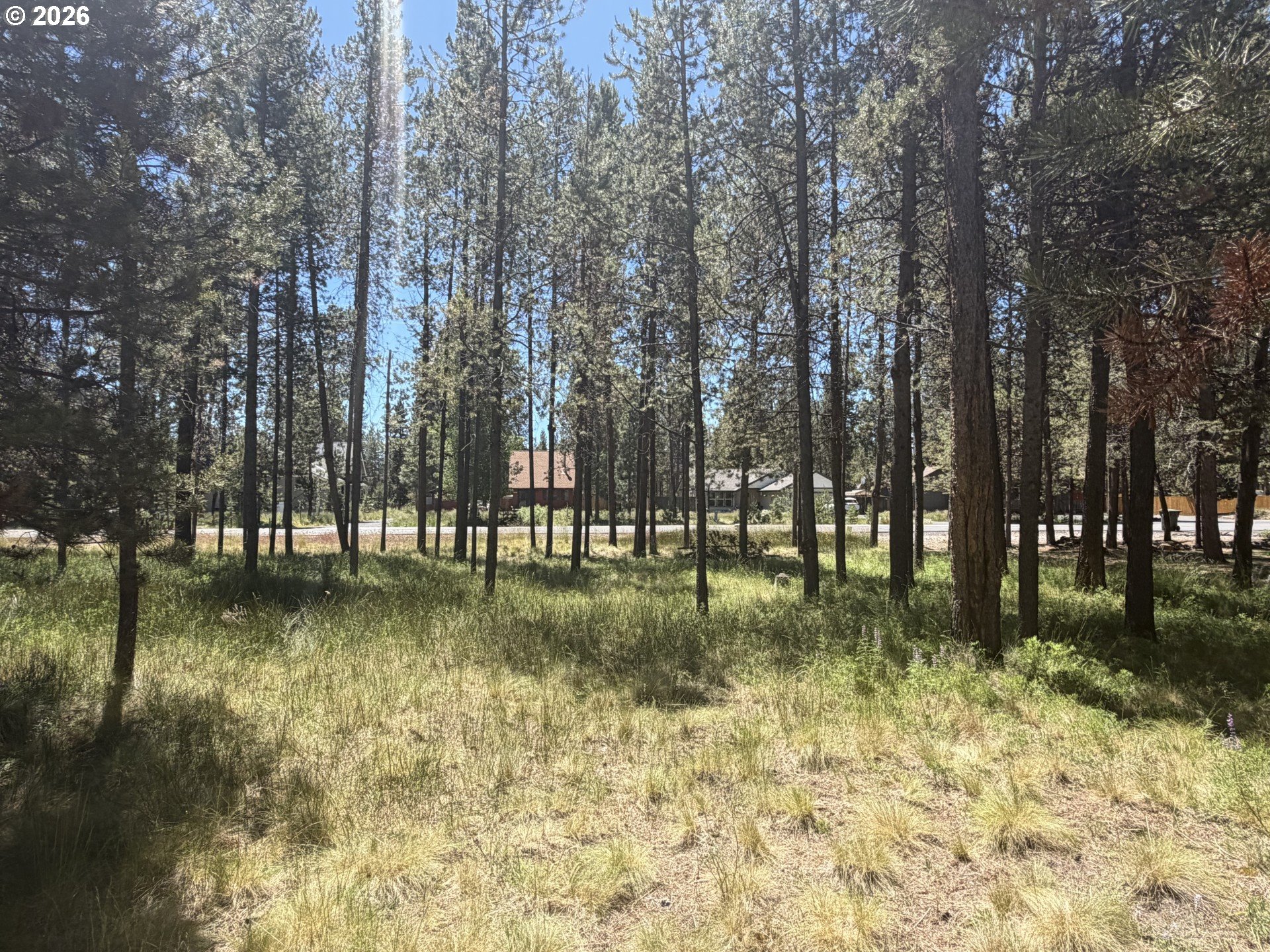 17386 GOLDEN EYE DR Property Photo 1