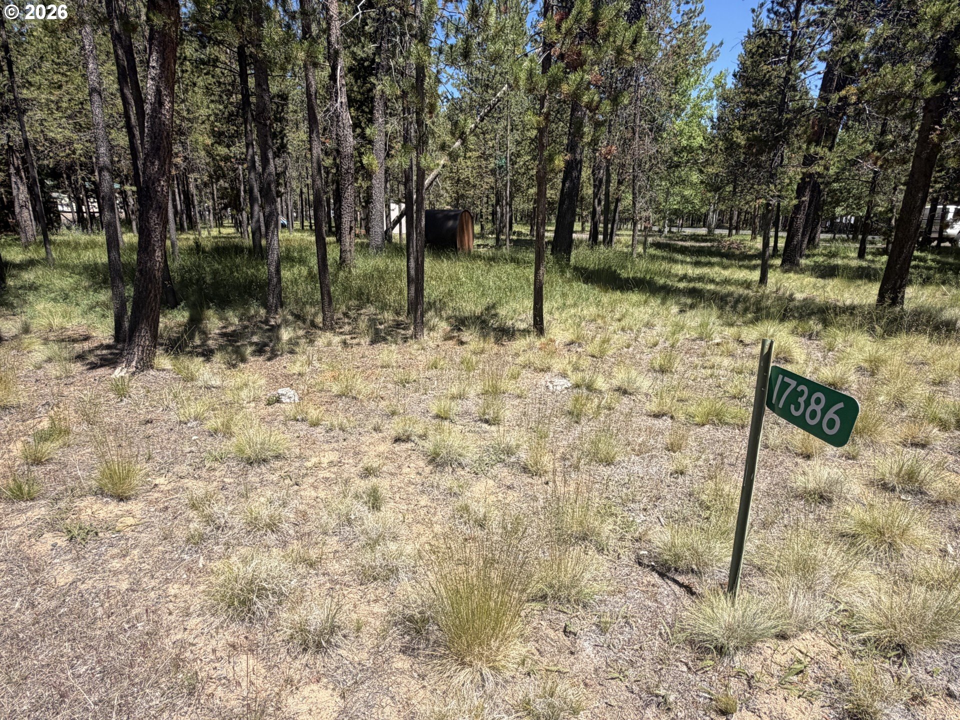 17386 Golden Eye Dr Property Photo 2