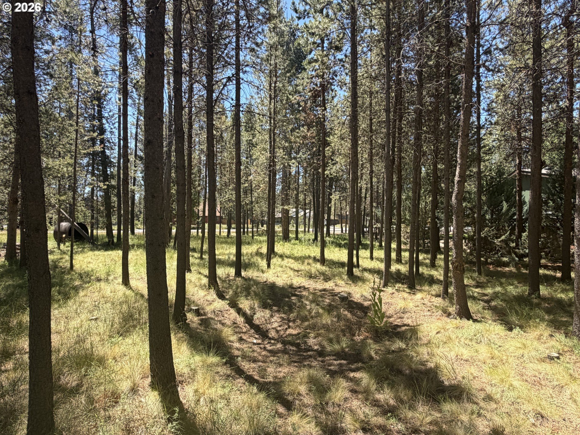 17386 Golden Eye Dr Property Photo 3