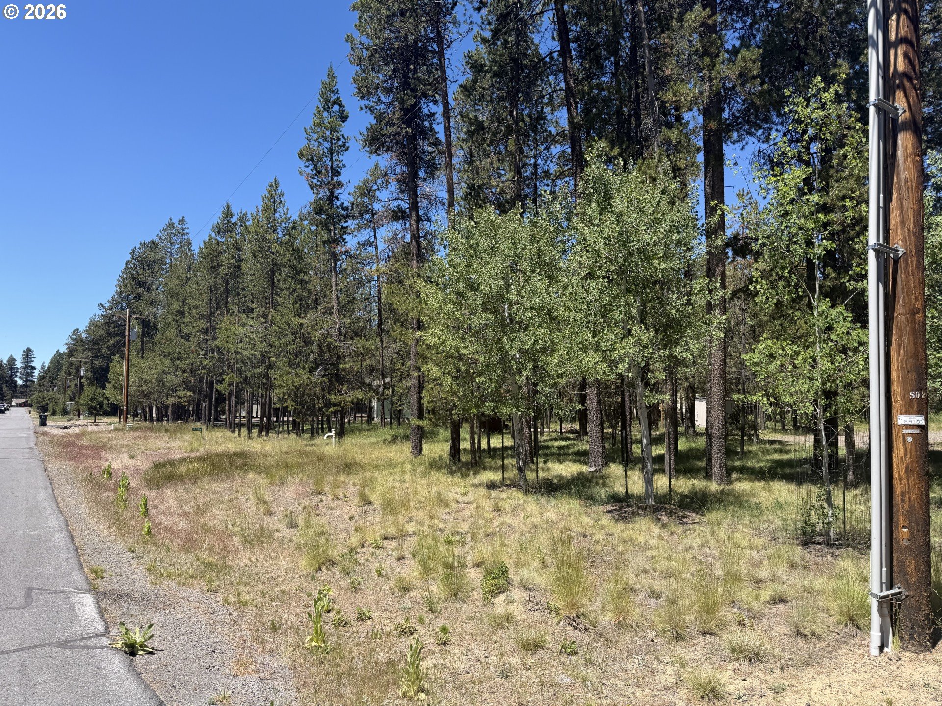 17386 Golden Eye Dr Property Photo 4
