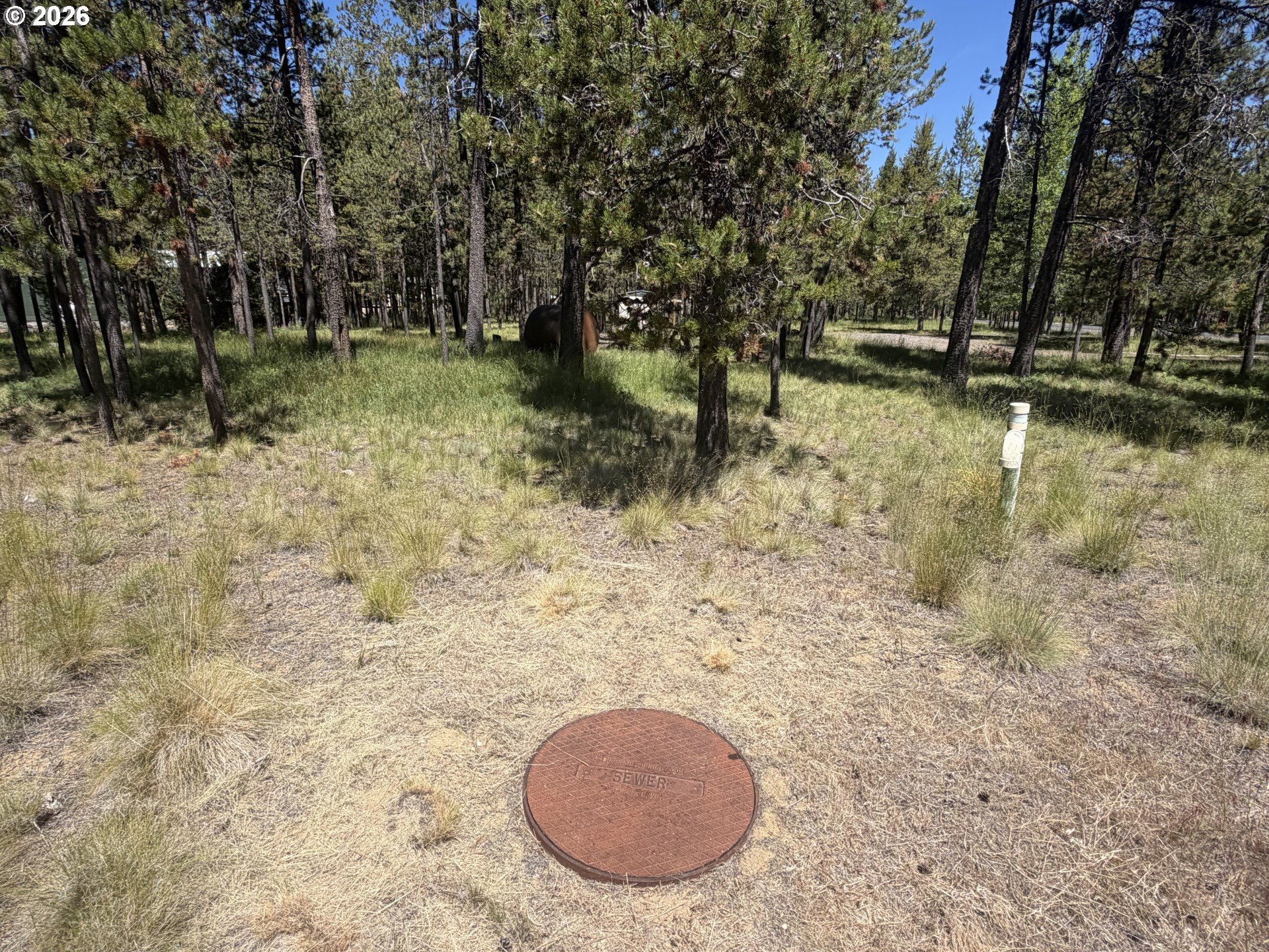 17386 Golden Eye Dr Property Photo 5
