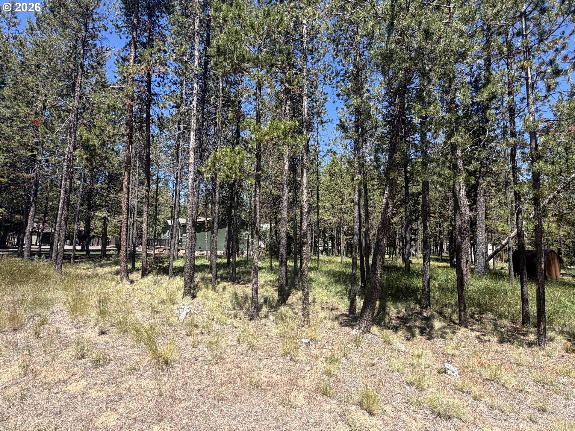 17386 Golden Eye Dr Property Photo 6