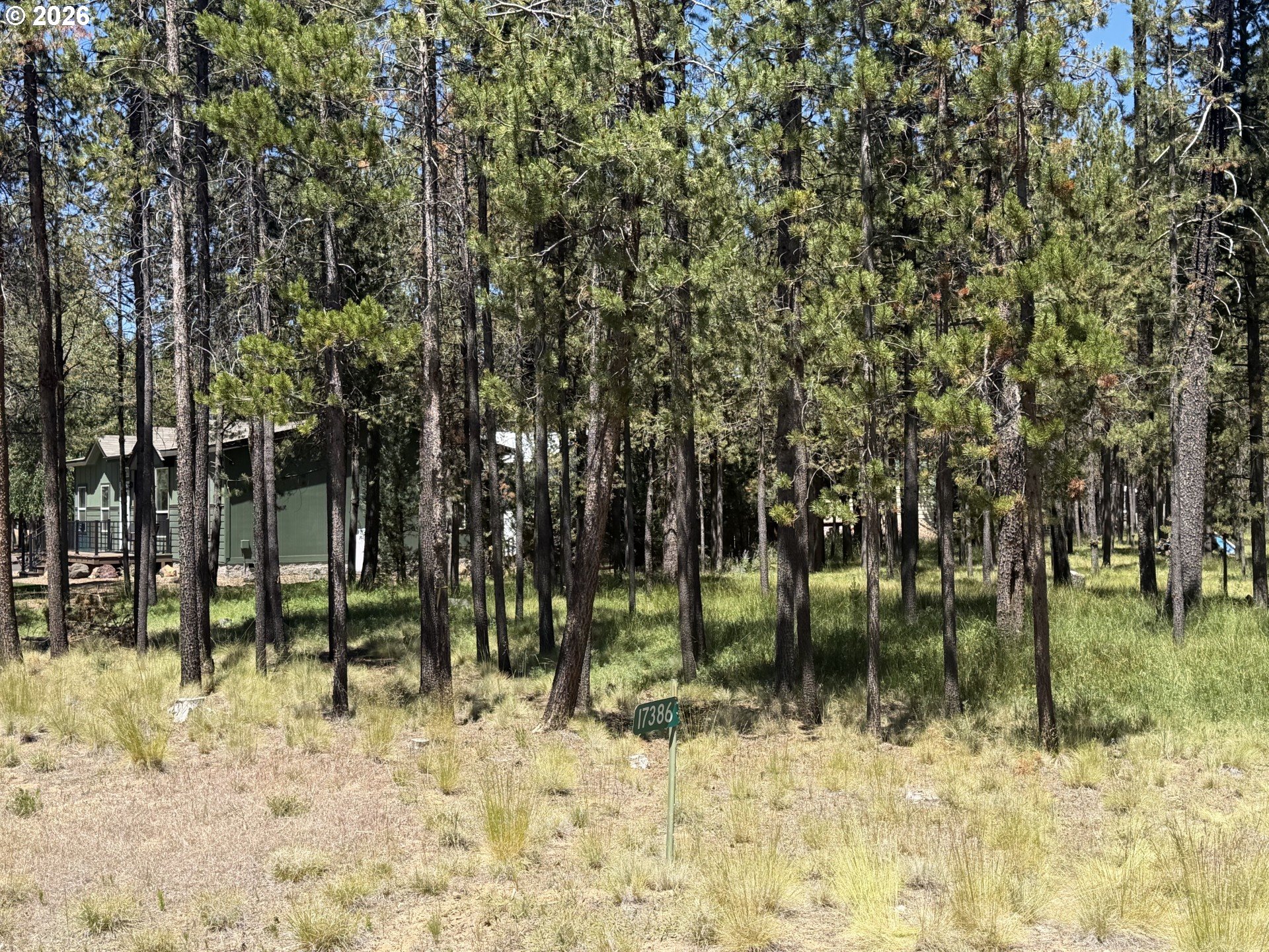 17386 Golden Eye Dr Property Photo 8