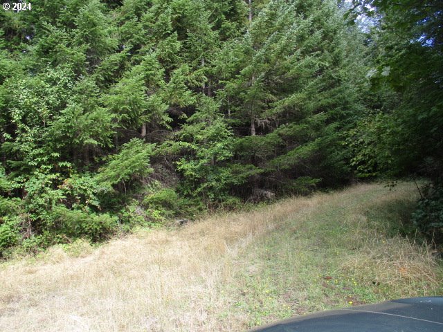 0 Bellinger Scale (1) Rd Property Photo 2