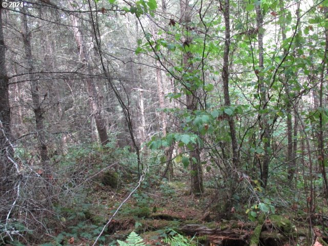 0 Bellinger Scale (1) Rd Property Photo 4