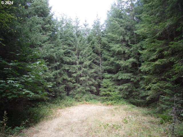 0 Bellinger Scale (1) Rd Property Photo 5