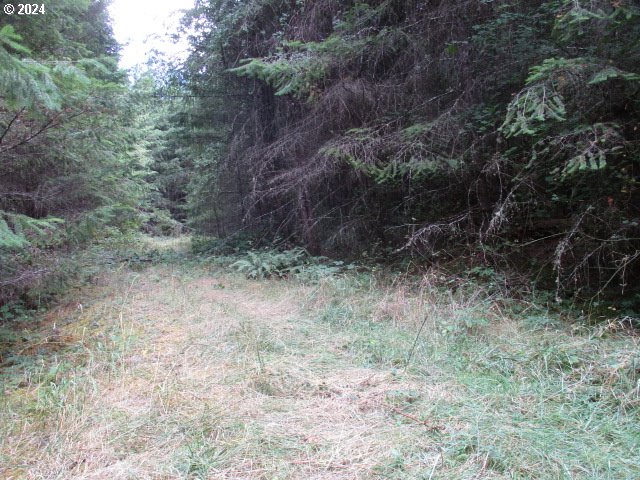 0 Bellinger Scale (1) Rd Property Photo 7