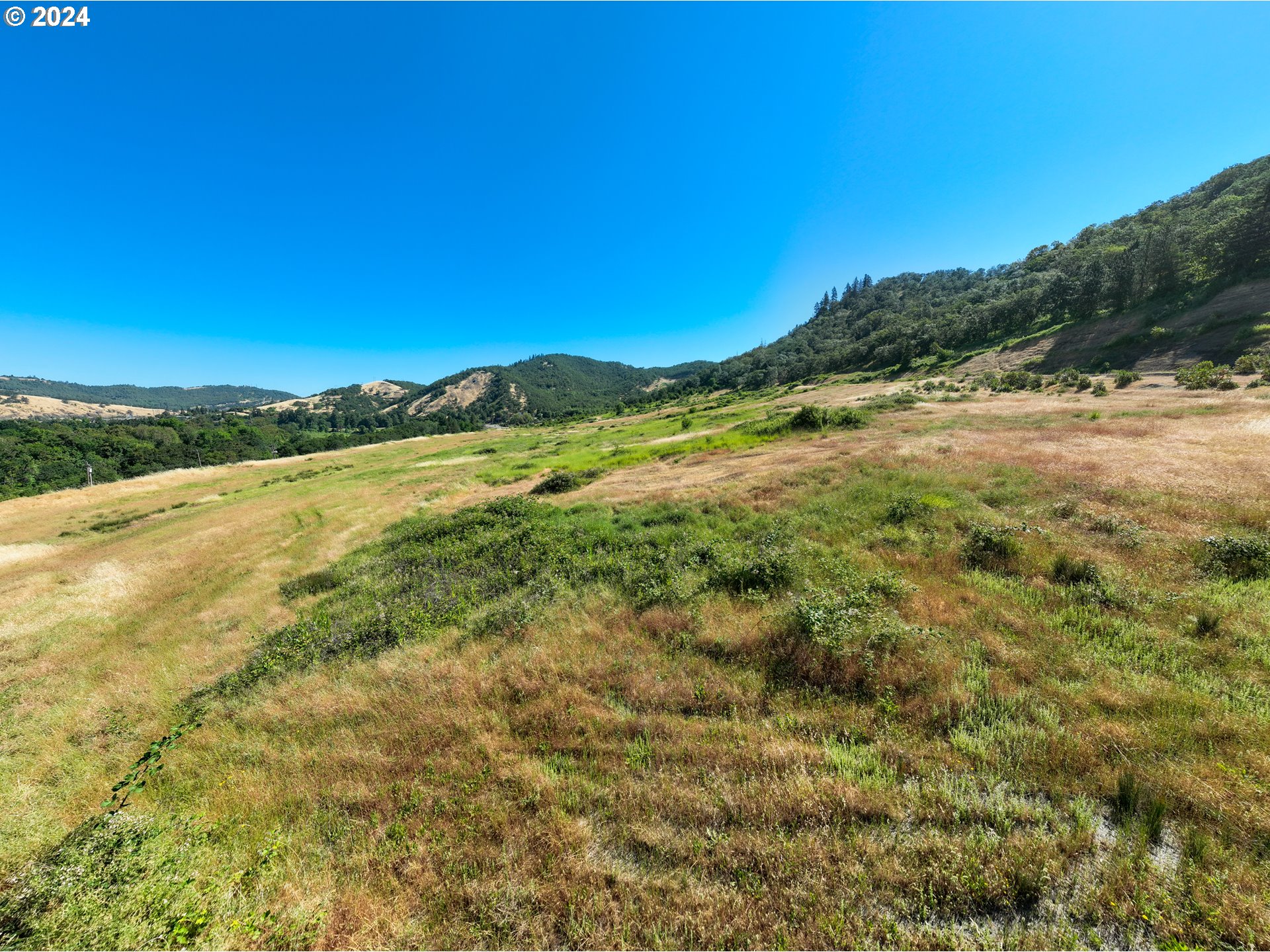 3136 Old Highway 99 Property Photo 21