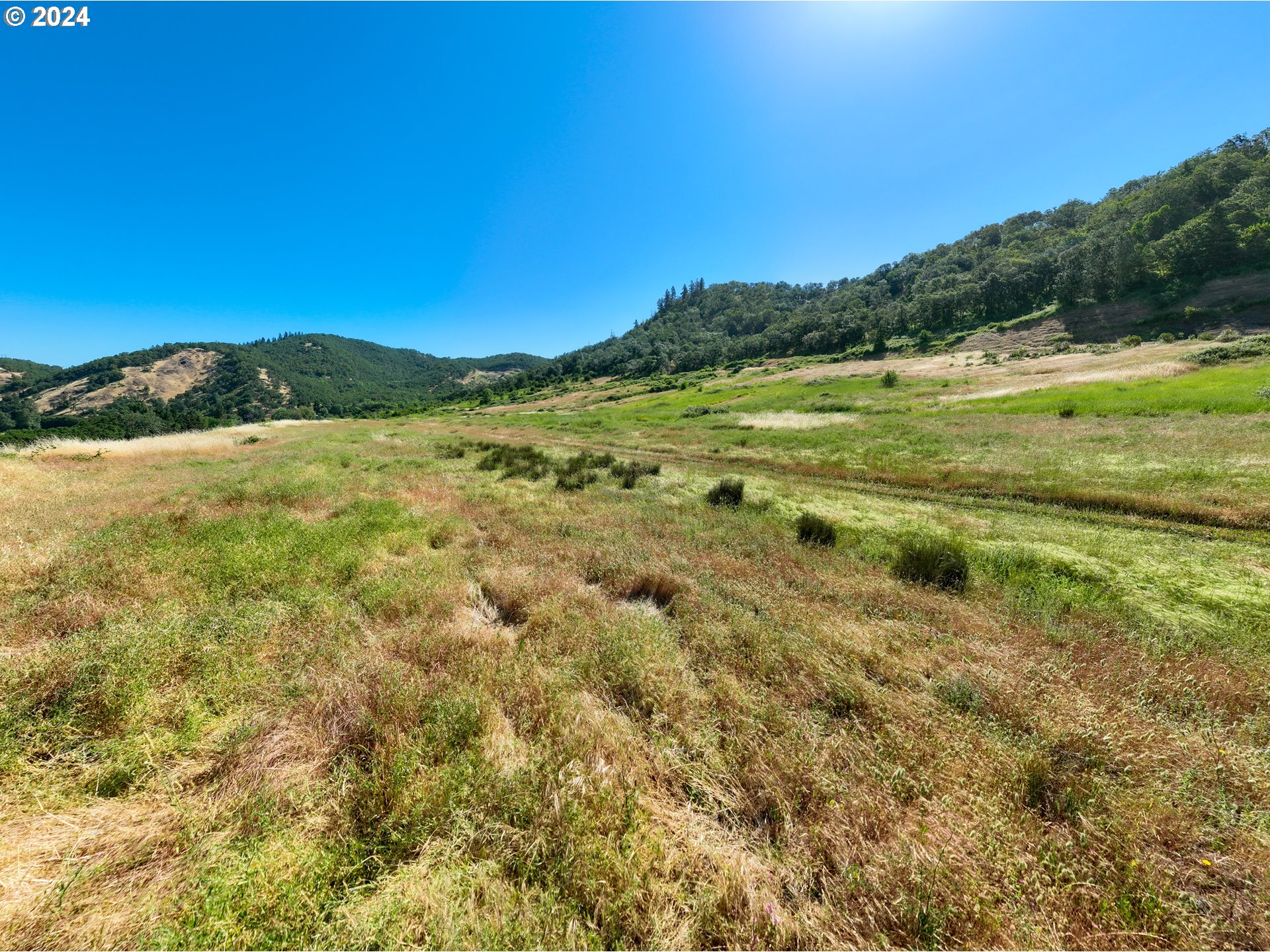 3136 Old Highway 99 Property Photo 22