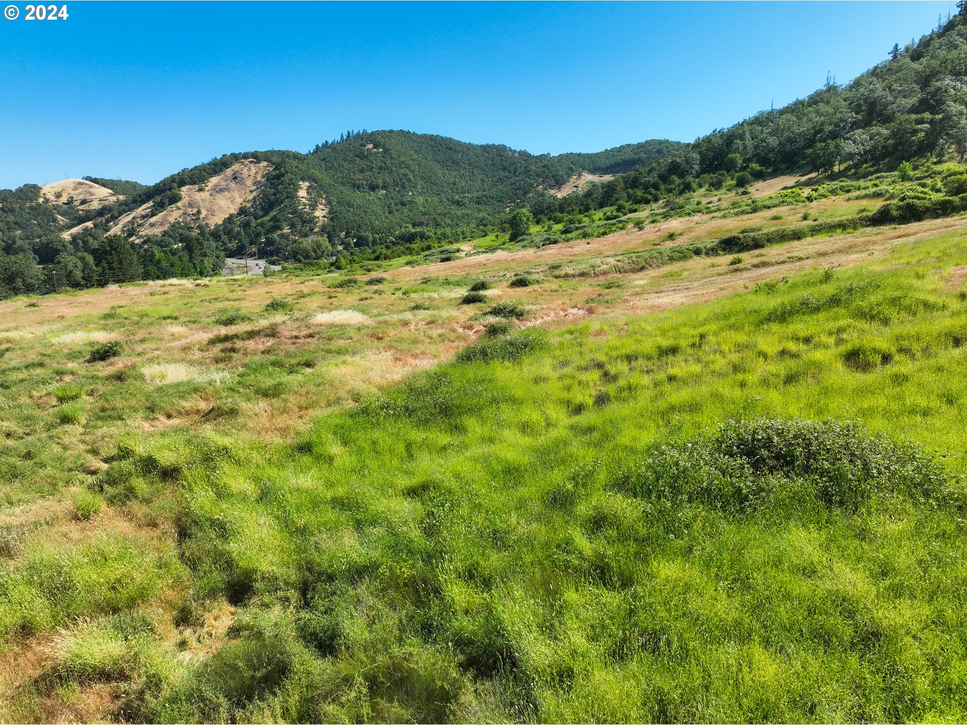 3136 Old Highway 99 Property Photo 24