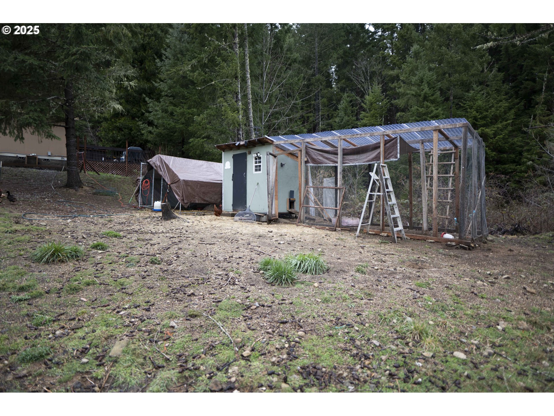 6228 Upper Cow Creek Rd Property Photo 28