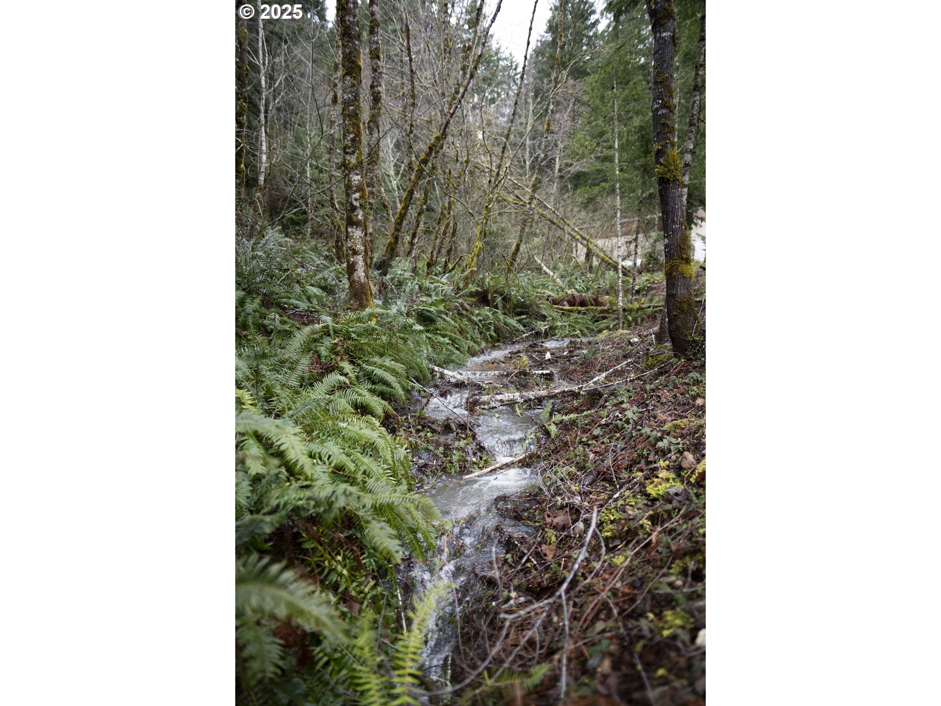6228 Upper Cow Creek Rd Property Photo 43