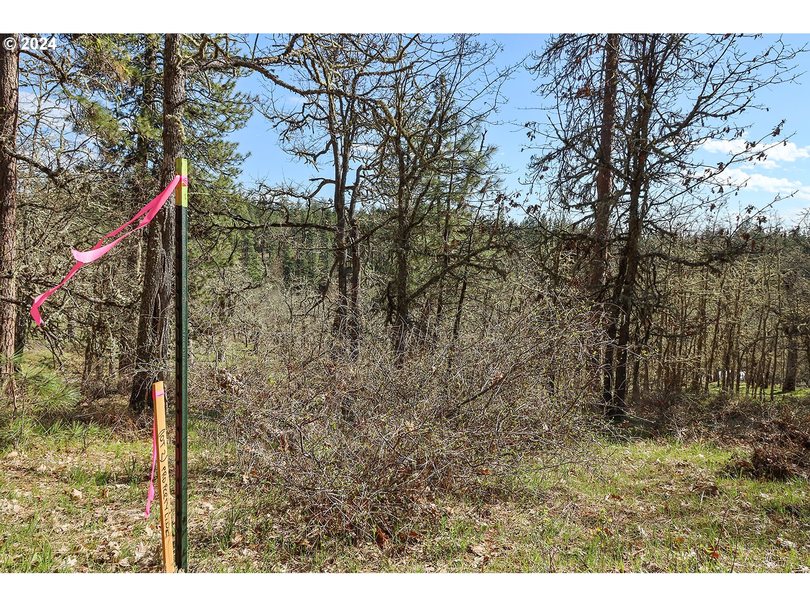 Secluded Way 2 Property Photo 4