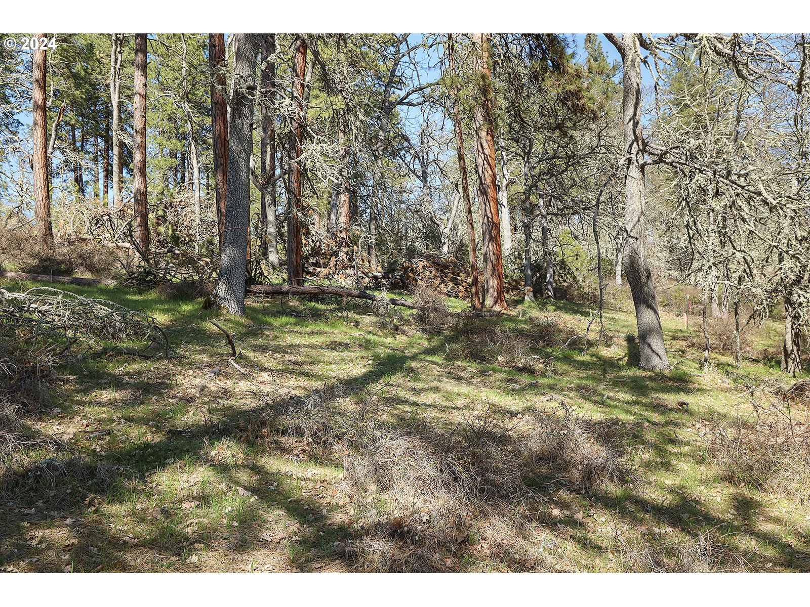 Secluded Way 2 Property Photo 9