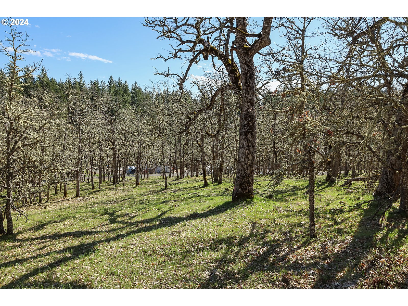 Secluded Way 2 Property Photo 11