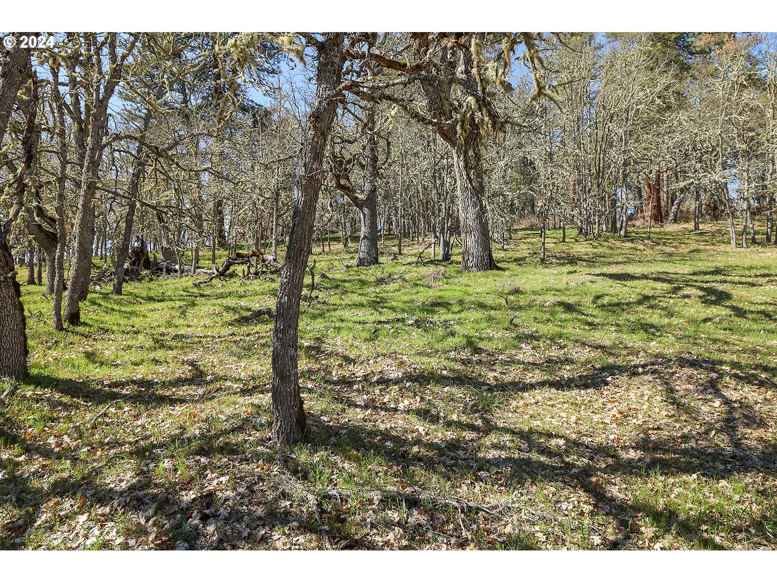 Secluded Way 2 Property Photo 12