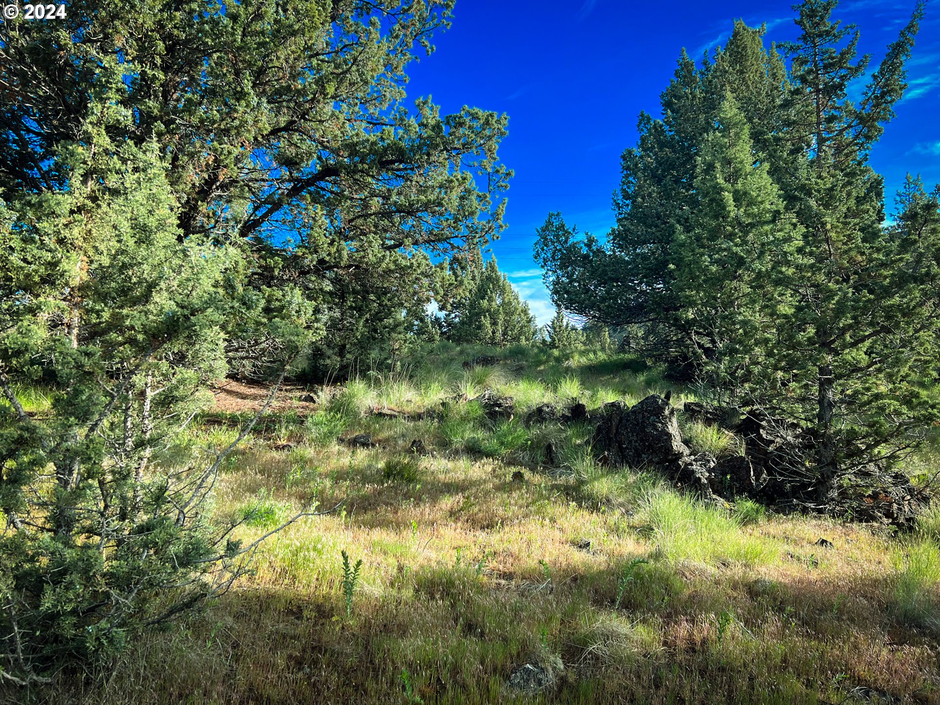227 Valley View Dr Property Photo 7