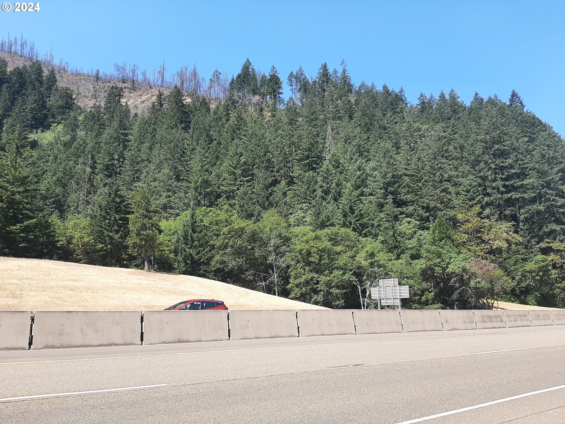 0 Canyonville-riddle Rd Property Photo 1